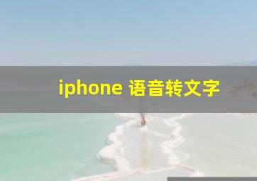 iphone 语音转文字